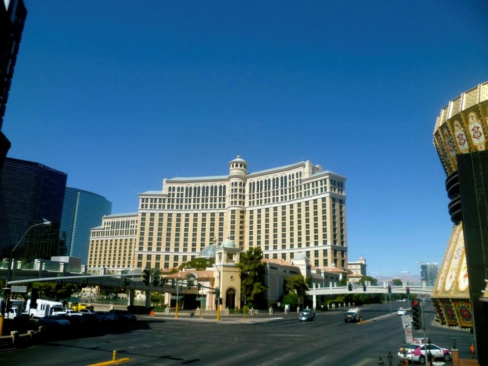 293102_10151876602780571_1842481534_n